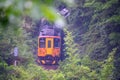 A yellow diesel train is driving in the mountains and forests.