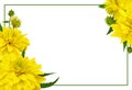 Yellow dissected rudbeckia flowers in a corner floral arrangements with green frame isolated on white