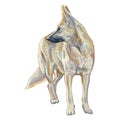 Yellow dog, shepherd, watercolor