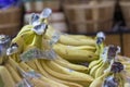 Yellow Dole bananas in black baskets on a shelf at a market in Atlanta Georgia