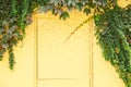 Yellow door and wall