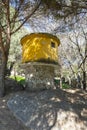 Yellow dovecote birds house is set on a high pole in the city for public breeding of pigeons in the park of the pines