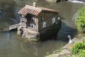 Yellow dovecote birds house is set on a high pole in the city for public breeding of pigeons in the park of the pines