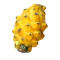 Yellow dragon fruit