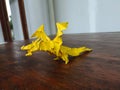 Yellow dragon shape origami taken from eye level Royalty Free Stock Photo