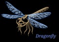 Yellow dragonfly with transparent blue wings on the black background Royalty Free Stock Photo