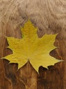 Yellow autumn maple leave  on a wooden background Royalty Free Stock Photo