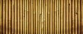 Yellow dried bamboo fence texture, bamboo texture background Royalty Free Stock Photo