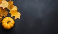 Yellow dried leaves and small orange pumpkin on black background, top view, copy space. Halloween, Thanksgiving holiday concept