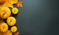 Yellow dried leaves and small orange pumpkins on black background, top view, copy space. Halloween, Thanksgiving holiday concept