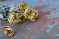 Yellow dried roses