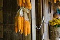 Yellow dry corn on bamboo wood
