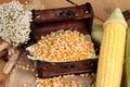 Yellow dry corn grain and corn fresh. Royalty Free Stock Photo