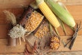Yellow dry corn grain and corn fresh. Royalty Free Stock Photo