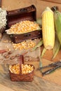Yellow dry corn grain and corn fresh. Royalty Free Stock Photo
