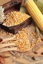 Yellow dry corn grain and corn fresh. Royalty Free Stock Photo