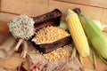 Yellow dry corn grain and corn fresh. Royalty Free Stock Photo