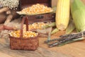 Yellow dry corn grain and corn fresh. Royalty Free Stock Photo