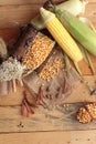 Yellow dry corn grain and corn fresh. Royalty Free Stock Photo