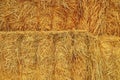 Yellow dry hay background texture. A stack of straw bales background. Close-up. Agricultural concept
