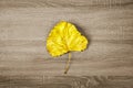 Yellow dry leaf on brown wooden texture background. Royalty Free Stock Photo