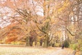 Beautiful colorful autumn park on a sunny day. Parc Astrid