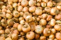 Yellow dry onions at the market Royalty Free Stock Photo