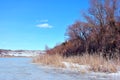 Yellow dry reeds on lake covered with ice bank with willow trees without leaves covered with snow, blue sky background Royalty Free Stock Photo