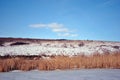 Yellow dry reeds on lake covered with ice bank with willow trees without leaves covered with snow, blue cloudy sky Royalty Free Stock Photo