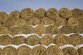 Yellow dry round haystacks lie in rows under the snow against a clean blue sky Royalty Free Stock Photo