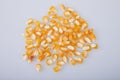 Yellow dry selective corn seeds isolated on white background. Royalty Free Stock Photo