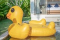 Yellow duck floating