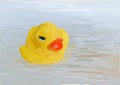 Yellow duck floating in water. Digital oil painting.