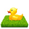 Yellow duck on fresh green grass 10eps