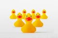 Yellow duck in the head of group of ducks - Concept of leadership and teamwork