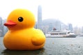 Yellow duck in Hong Kong