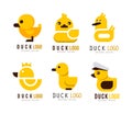 Yellow Duck Logo Design with Toy Rubber Duckling Vector Set