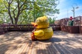 The yellow duck statue at N-Seoul Tower, surrounded by numerous love locks, is a highlight at this well-known tourist attraction