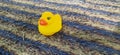 This is a yellow duck toy that is alone in the morning. Royalty Free Stock Photo