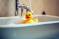 Yellow duck toy in the bathtub. Bath time concept. Generative AI Royalty Free Stock Photo