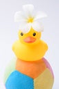 Yellow duck toy on toy soccer ball with white background Royalty Free Stock Photo