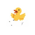 Yellow duckling hatching from egg vector illustration with orange beak and playful expression Royalty Free Stock Photo