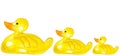 Yellow ducklings toys each other swimming Royalty Free Stock Photo