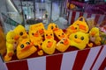 Yellow ducks to sell in Pattaya,Thailand