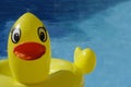 Yellow Ducky Toy Royalty Free Stock Photo