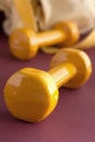 Yellow dumbbells with yellow sport bag Royalty Free Stock Photo
