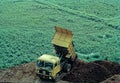 Yellow dumper truck dumping soil for reclaiming marshy land