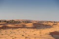 Yellow Dunes on suunset desert, Sharjah,UAE