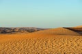 Yellow Dunes on suunset desert, Sharjah,UAE