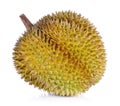 Yellow durian in side Mon Thong fruit